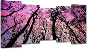 Festmények 150x80 Erdő Fák Kilátás alulról