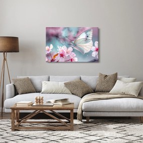 Kép - Pillangó a cseresznyefán (90x60 cm)