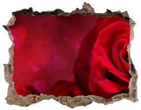 3d-s lyuk vizuális effektusok matrica Vörös rózsa szív nd-k-75608886