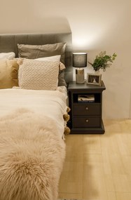 Éjeliszekrény, szürke, PARIS 70302