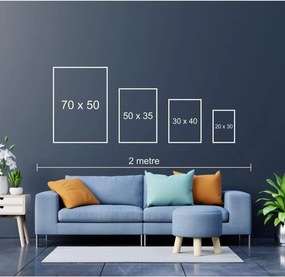 Huhu239 - 50 x 70