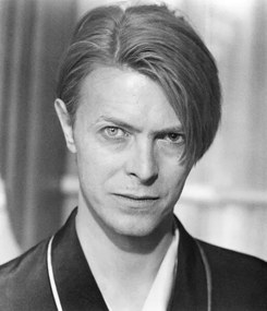 Fotográfia Hunger: David Bowie, 1983