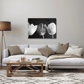 Kép - fekete-fehér tulipán virág (70x50 cm)