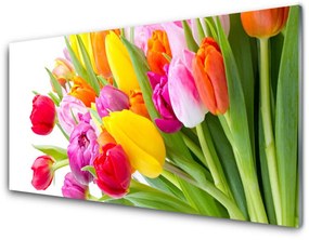 Akrilkép Tulipán virágok Plant 100x50 cm 2 fogas