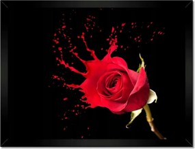 Poszterek keretben 40x30 Fröccsenő rózsa