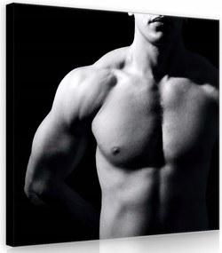 Vászonkép 40x40 Férfi felsőtest izomzat fényárnyék erő férfiasság anatómia test