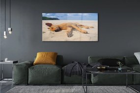 Üvegképek Fekvő kutya strand 120x60cm