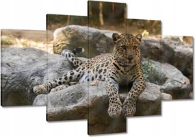 Festmények 120x80 Leopárd