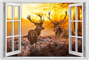 Poszterek 60x40 Szarvasok a réten