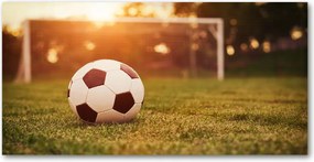 Fotó üveg kép Labda a gyepen 140x70