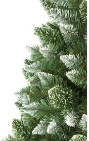 Karácsonyfa törzzsel, 180 cm magas fenyő