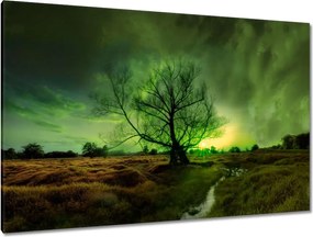 Festmények 120x80 Rogalin