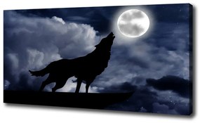 Vászonkép Üvöltő farkas teljes oc-61523126