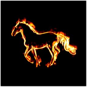 Poszterek 30x30 Tűz paripa