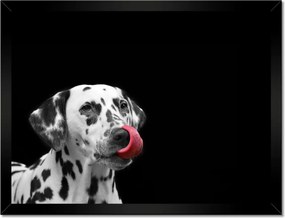 Poszterek keretben 40x30 Mindenre kidobva