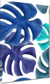 Vászonkép 70x100 Monstera Levelek Kék