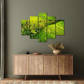Kép - Rizs teraszok (150x105 cm)