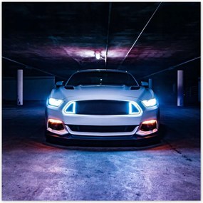 Poszterek 100x100 Ford Mustang Autó