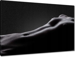 Vászonkép 90x60 Aktok Meztelenség Szerelem Fotó