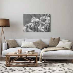 Kép - Szárított virágok (90x60 cm)