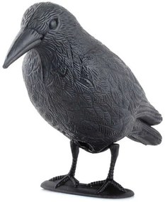 Bird scarer - raven