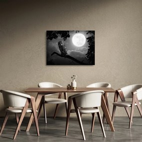 Üveg kép - Éjjeli bagoly, fekete-fehér (70x50 cm)