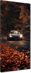 Vászonkép 55x115 Audi Őszi tájkép