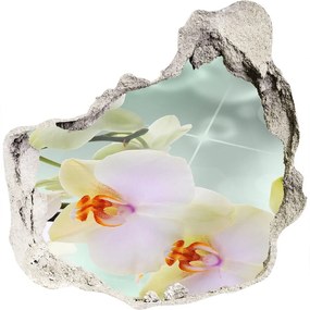 3d fali matrica lyuk a falban Fehér orchidea nd-p-91133337