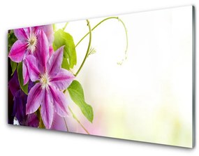 Modern üvegkép Virágok Természet 100x50 cm