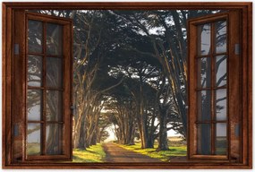 Poszterek 120x80 Tájkép Látvány