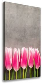 Vászonkép nyomtatás Rózsaszín tulipánok ocv-102142486
