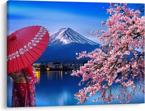 Kép - Kilátás a csúcsra, Japán (70x50 cm)