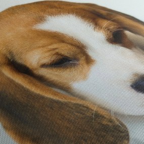 Beagle képe (150x105 cm)