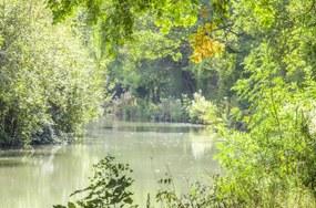 Poszter 86,4x56,8cm Basingstoke csatorna, Assaf Frank