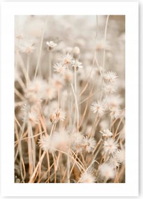 Boho fű bézs poszter 50x70cm #20D