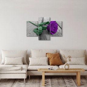 Kép - Lila rózsa zöld szárral (90x60 cm)