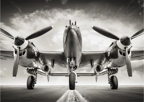 Üveg kép - Warbird (70x50 cm)