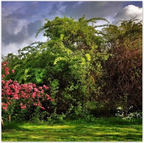 Poszterek 140x140 Tájkép