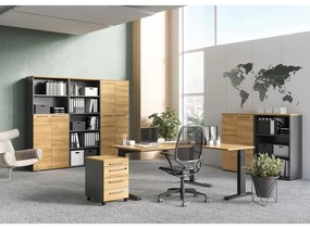 Antracitszürke-natúr színű szekrény tölgyfa dekorral 80x120 cm Agenda – Germania