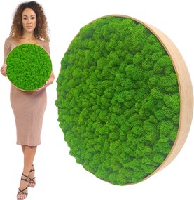 Moha Kép tölgyfa keretben 50cm moha Élő Kép