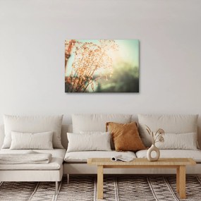 Kép - Növények eső után (70x50 cm)