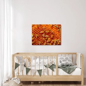 Kép - Méhsejtes (70x50 cm)