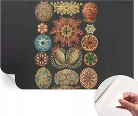 Dekoratív öntapadós fotótapéta irodába Tengeri inspirációk 104x70 cm