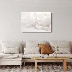Kép - Toll (90x60 cm)