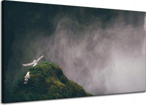 Vászonkép Természet Madártávlatból Köd 120x70