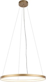ANTIGO 5334 AGARI Modern Led Függesztett Lámpa Arany LED IP20