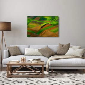 Kép - Mezők, rétek (90x60 cm)