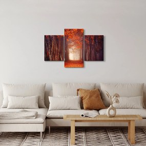 Kép - őszi erdő (90x60 cm)