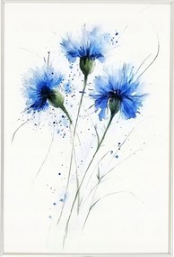 Poszter Alumínium Keret Akvarell Természet Mező Virág Kukorica Búzavirág 40x60