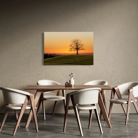 Naplemente a réten képe (90x60 cm)
